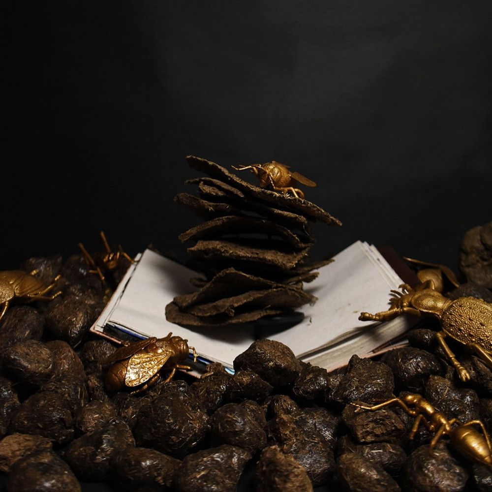 Stercus Parfum 50 ml