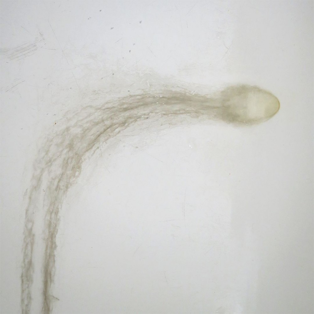 Seminalis Parfum 50 ml