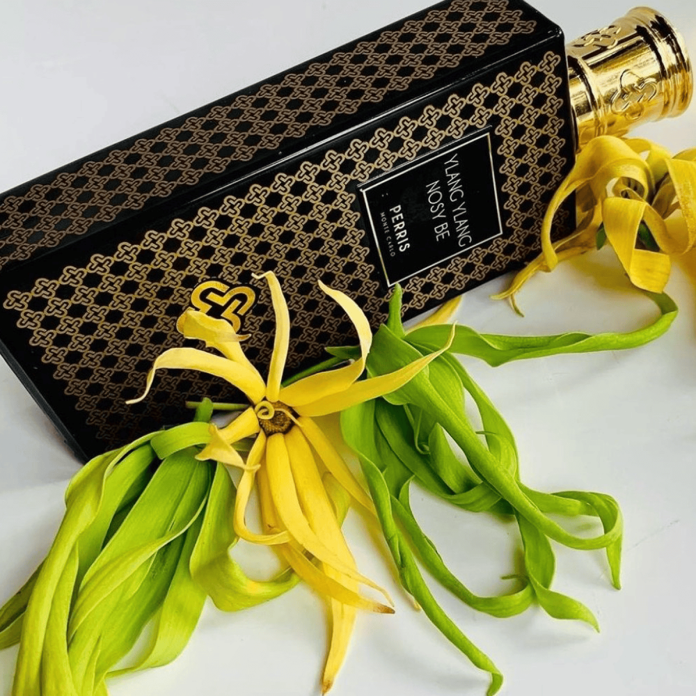 Ylang Ylang Nosy Be EdP 50 ml