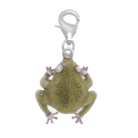 Pendant Green frog