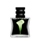 N⁰22 Green Eau de Parfum, 30 ML