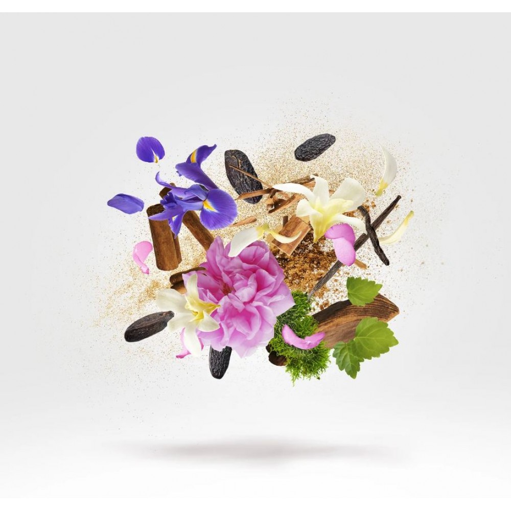 Gibeon Sample Parfum 2 ml