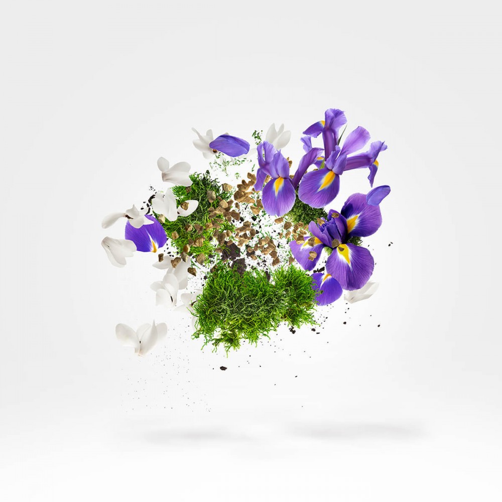 Amber Star and Star Musk Parfum 2x50 ml