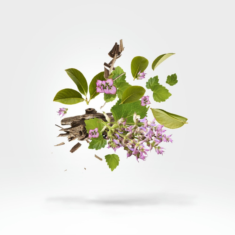 Blue Holysm Sample Parfum 2 ml