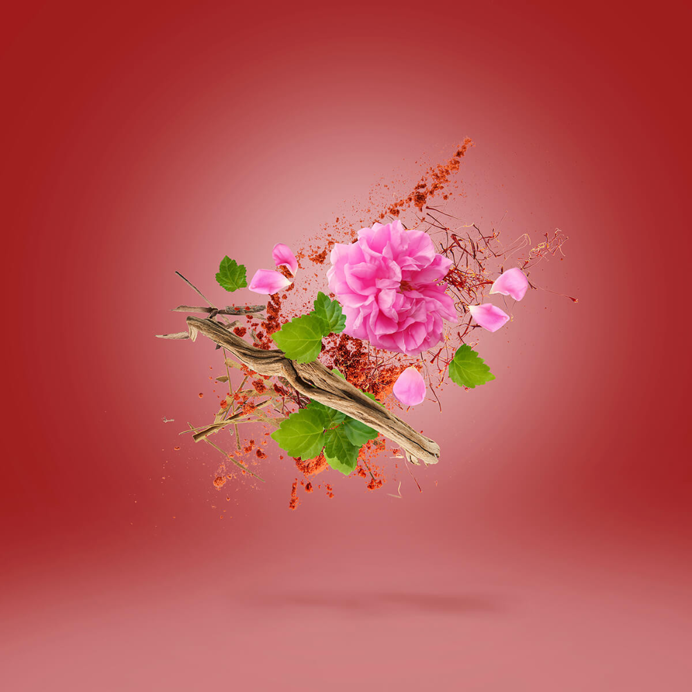 Wardasina EdP 100 ml