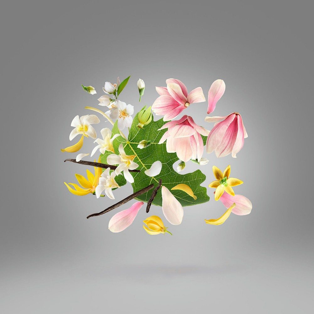 Ouverture EdP 100 ml