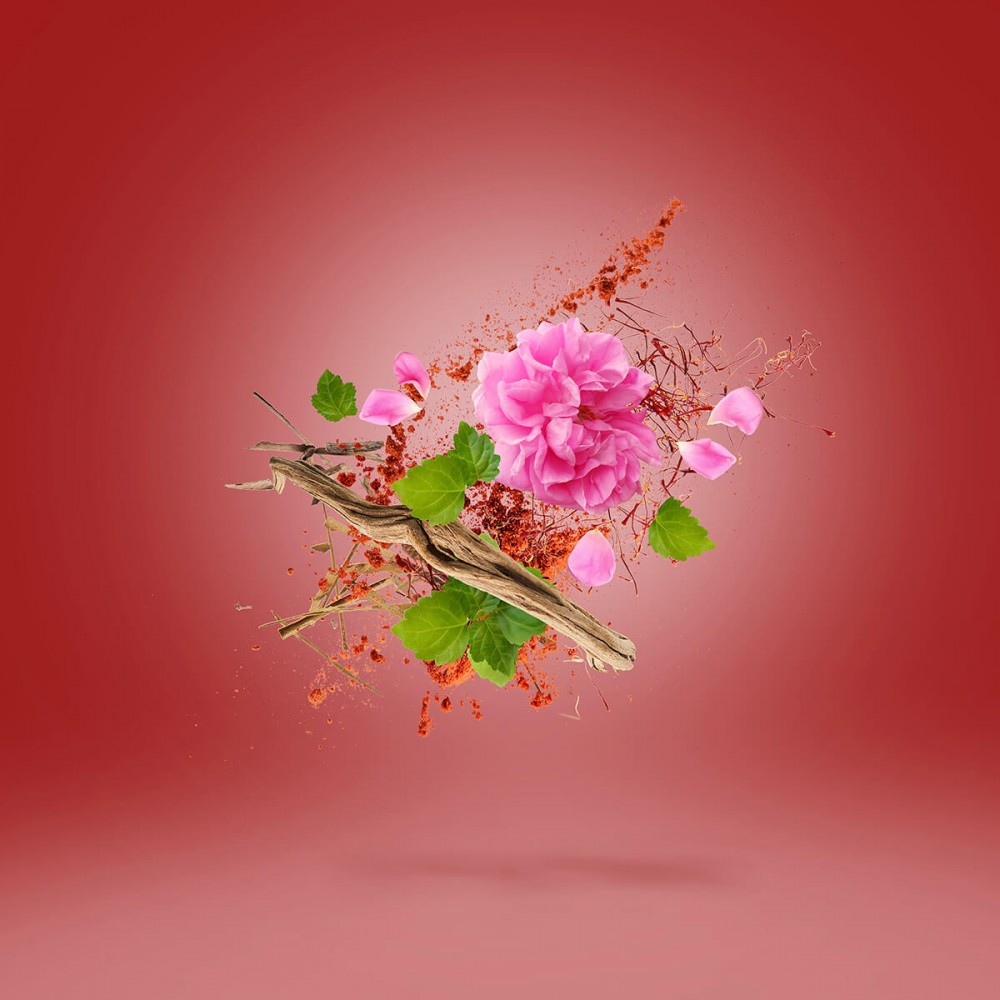 Wardasina EdP 100 ml