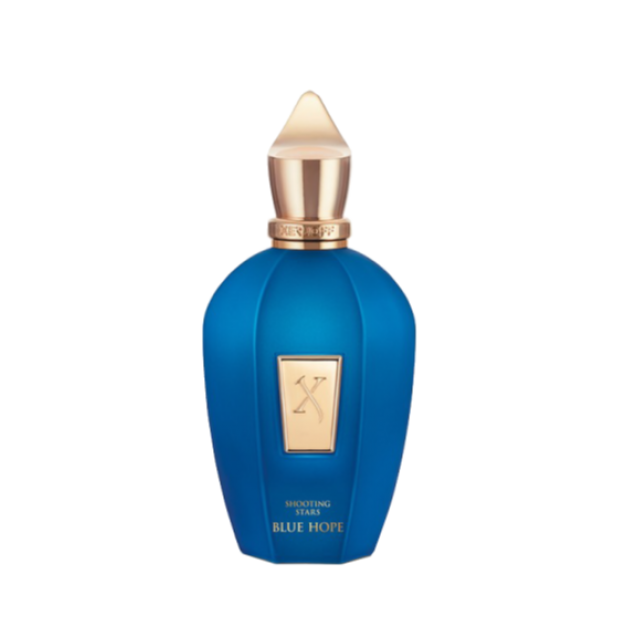 Blue Hope Parfum 100 ml