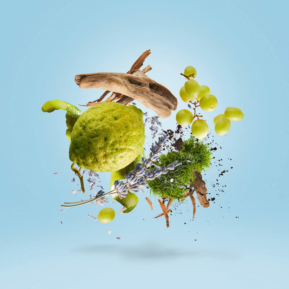 Mefisto Gentiluomo EdP 100 ml