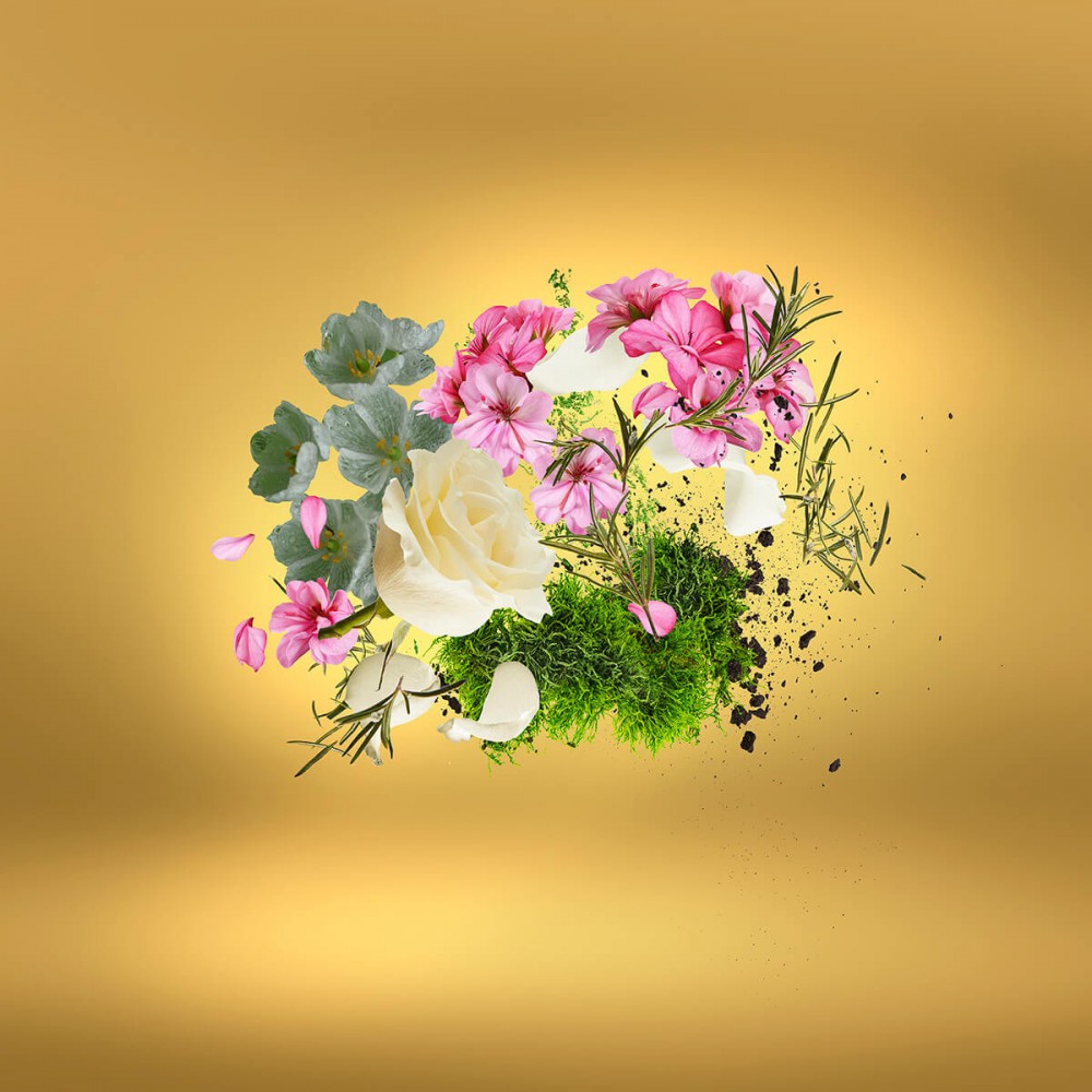 Casafutura EdP 100 ml