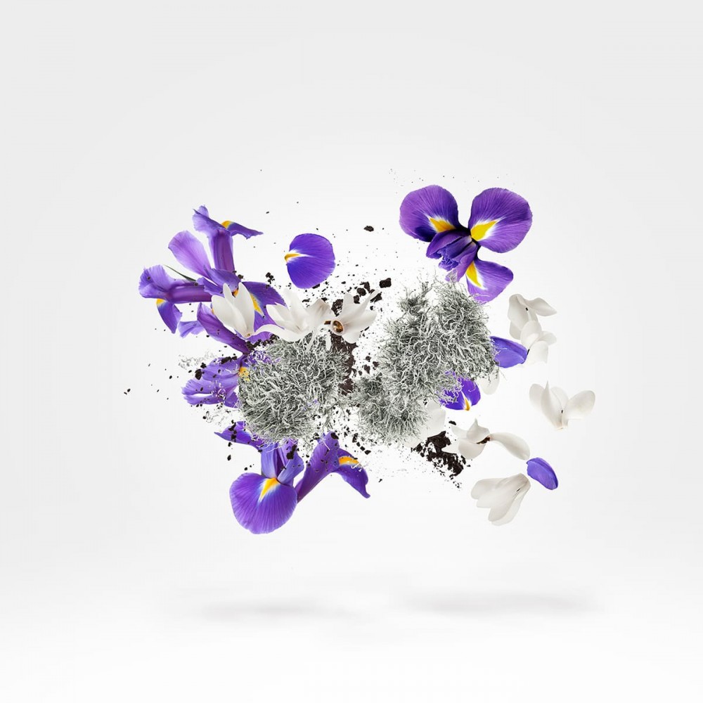 Apollonia Parfum 50 ml